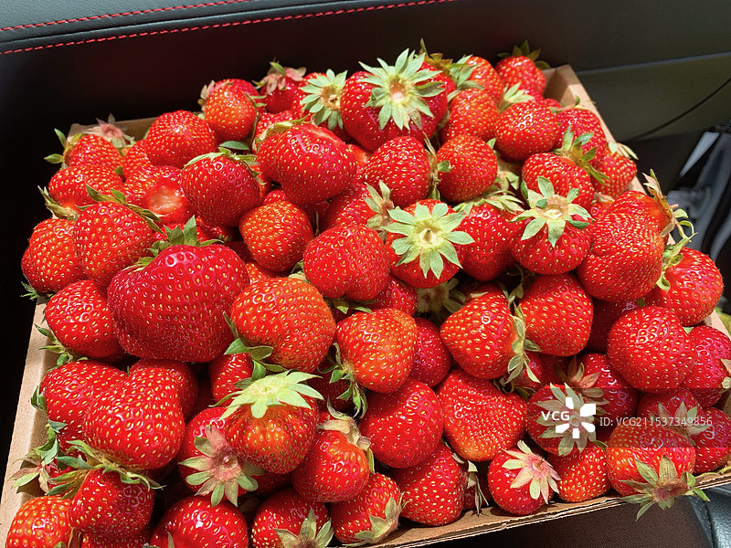 新鲜草莓图片素材