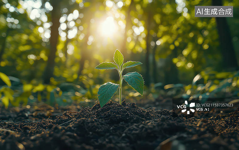 【AI数字艺术】新生植物发芽图片素材