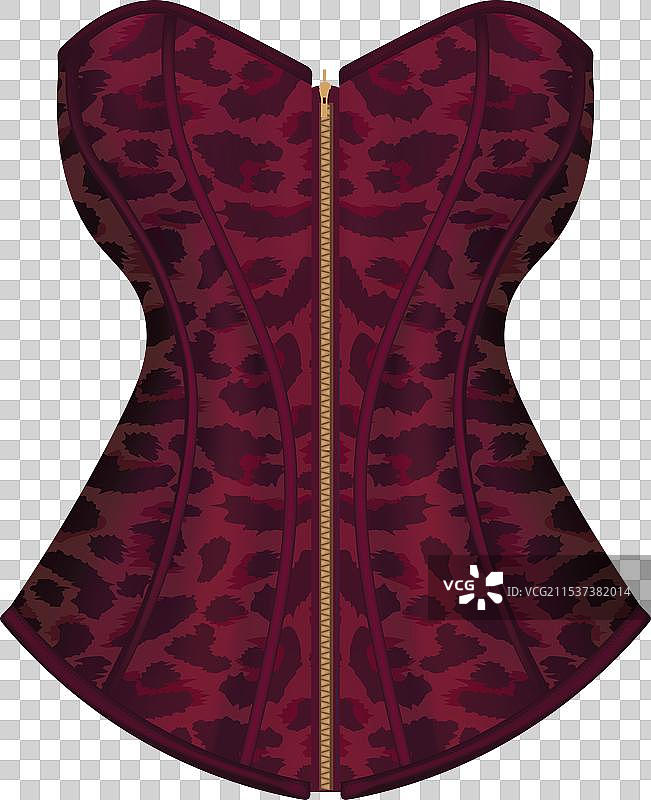 紫色豹纹紧身胸衣的女性图片素材