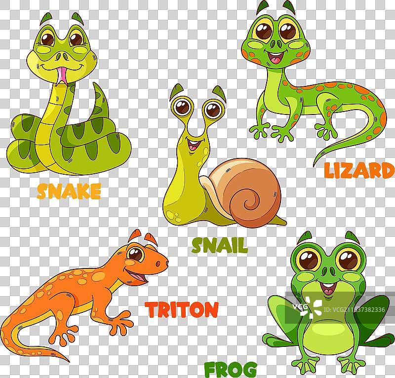 卡通爬行动物角色孤立套装图片素材