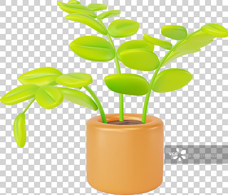 卡通风格的3D家居植物，绿叶盆栽图片素材