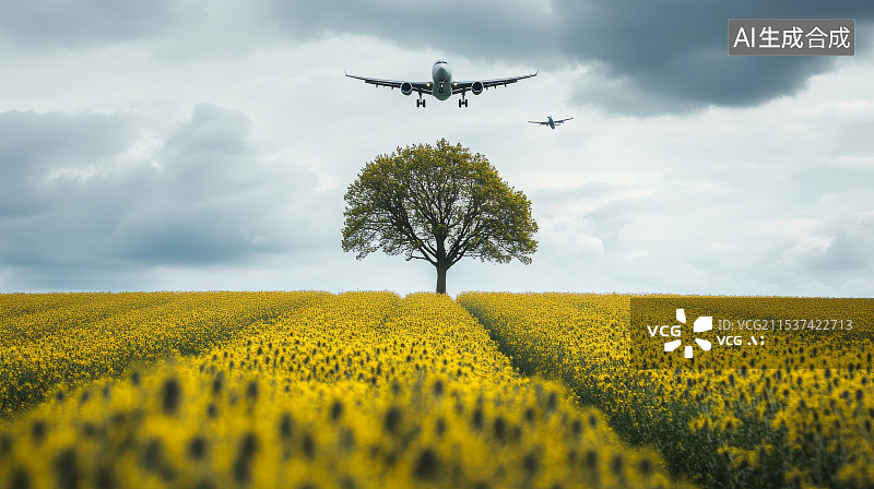 【AI数字艺术】金色乡村油菜花海图片素材