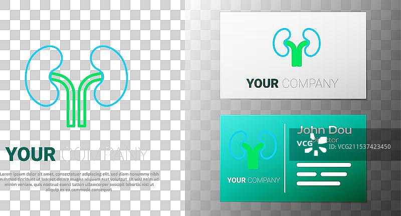 线条风格的人类肾脏图标，背景为白色图片素材