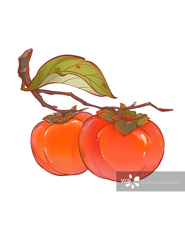 两个柿子单体素材图片素材