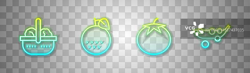 橙色水果番茄和篮子里的食物排列整齐图片素材