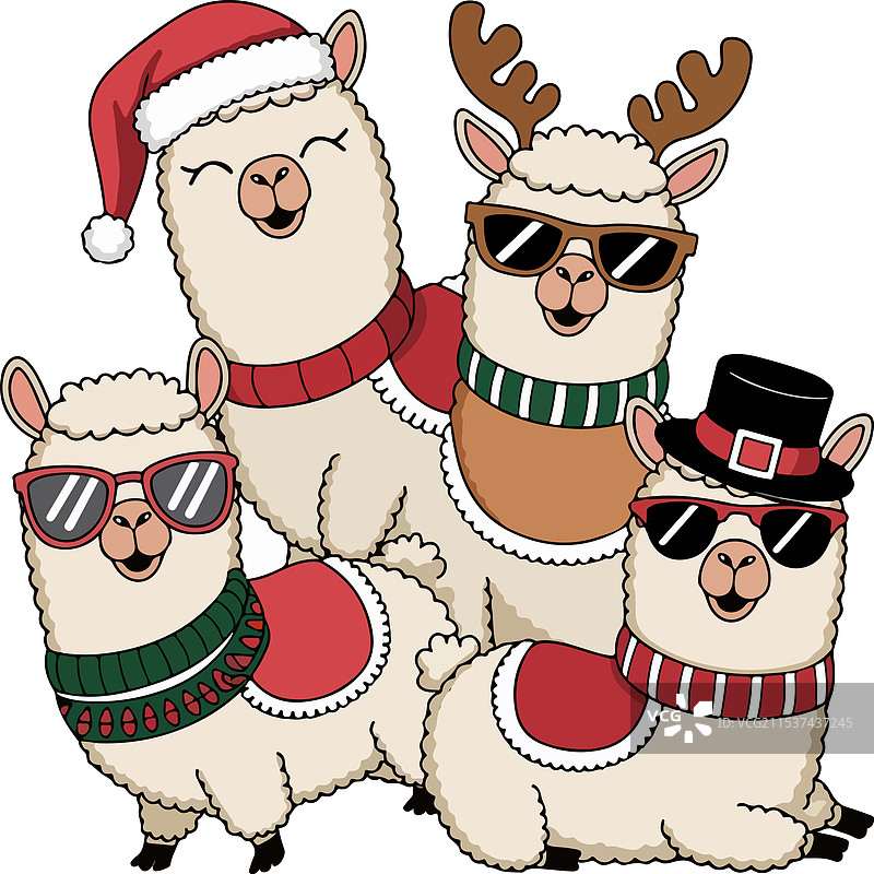 四只快乐的美洲驼穿着盛装图片素材