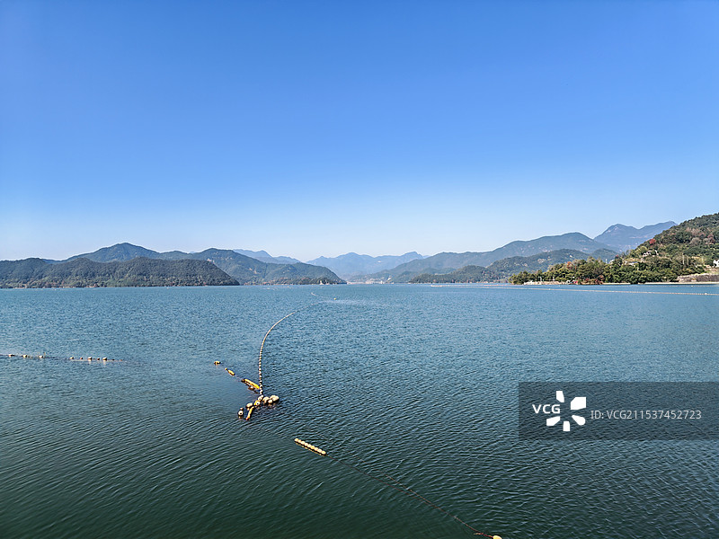 台州黄岩长潭水库红杉林图片素材