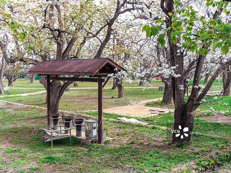 什川梨园图片素材