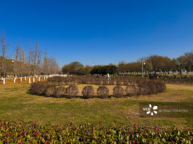 冬天的公园图片素材