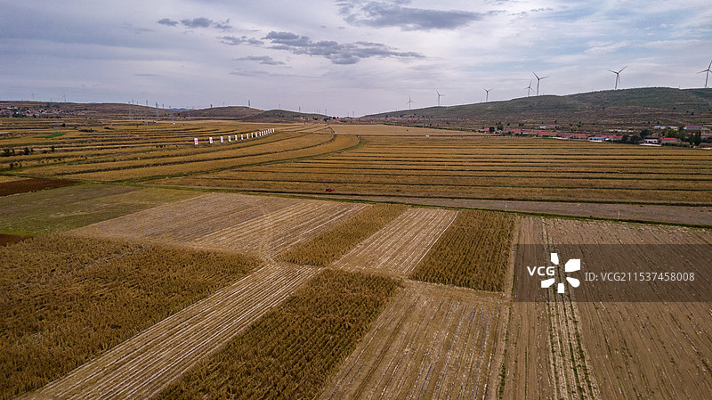 秋田丰收海原县图片素材