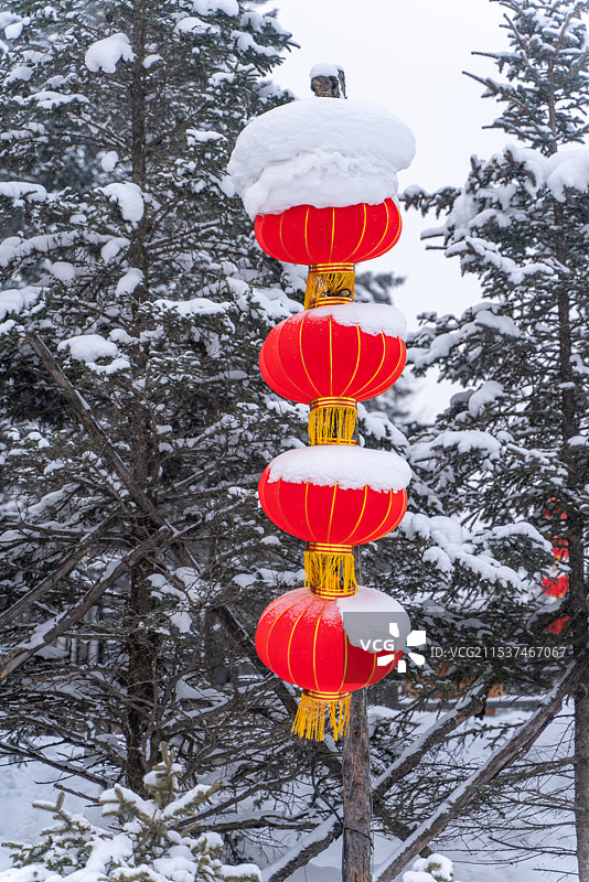 中国雪乡 林海雪原 雪檐 冰棱 白原 素林 晶枝 雪道 寒溪 玉峰 素岭 冷杉 琼枝图片素材