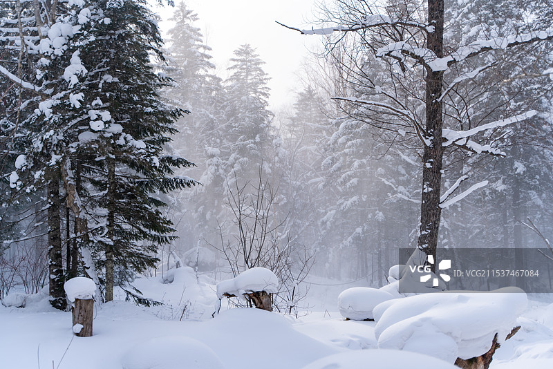 中国雪乡 林海雪原 雪檐 冰棱 白原 素林 晶枝 雪道 寒溪 玉峰 素岭 冷杉 琼枝图片素材