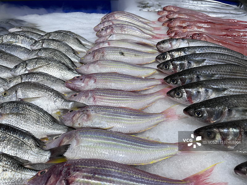 超市里的海鱼、海鲜、海产、杂鱼、鱼类、冰鲜图片素材