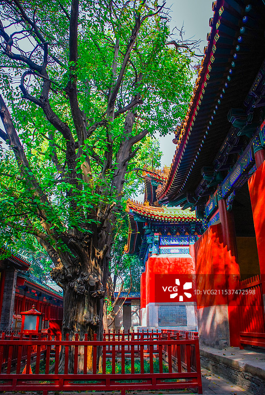 北京景山公园图片素材