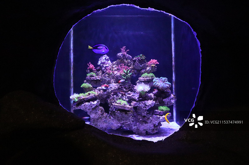 郑州海洋馆图片素材