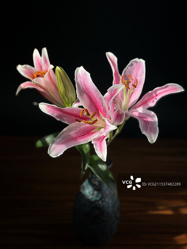 百合花开·静物图片素材