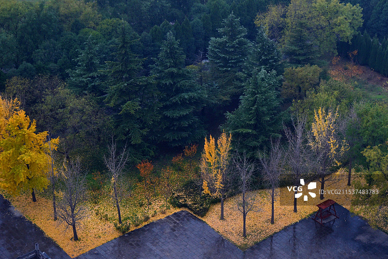 山西永济鹳雀楼景区局部俯瞰图片素材
