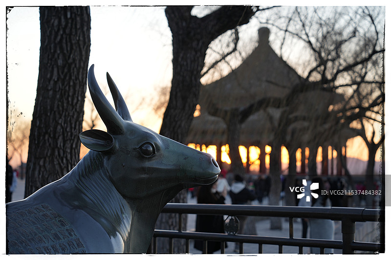 冬日，夕阳西下，颐和园的铜牛和廓如亭图片素材