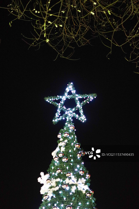 圣诞树五芒星图片素材