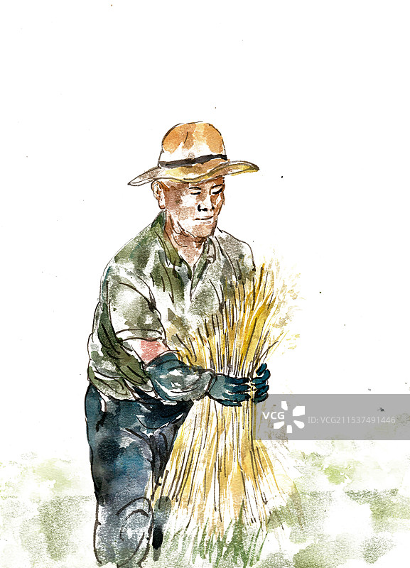 捆稻谷的男子图片素材