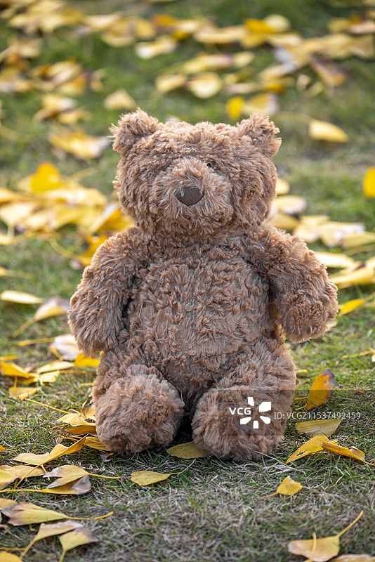 玩具小熊图片素材