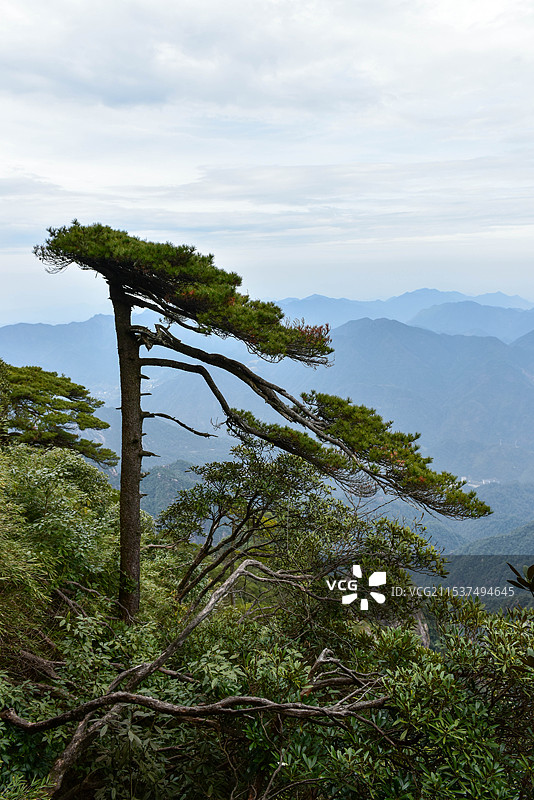 三清山图片素材