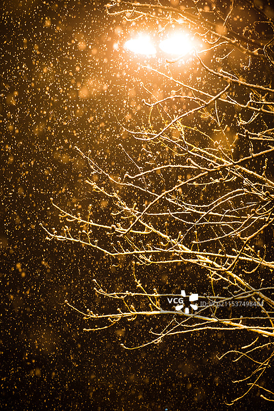 路灯下的漫天飞雪图片素材