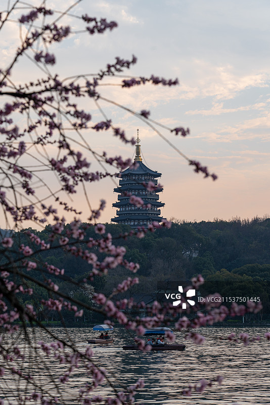 鲜花盛开日暮的杭州西湖雷峰塔图片素材