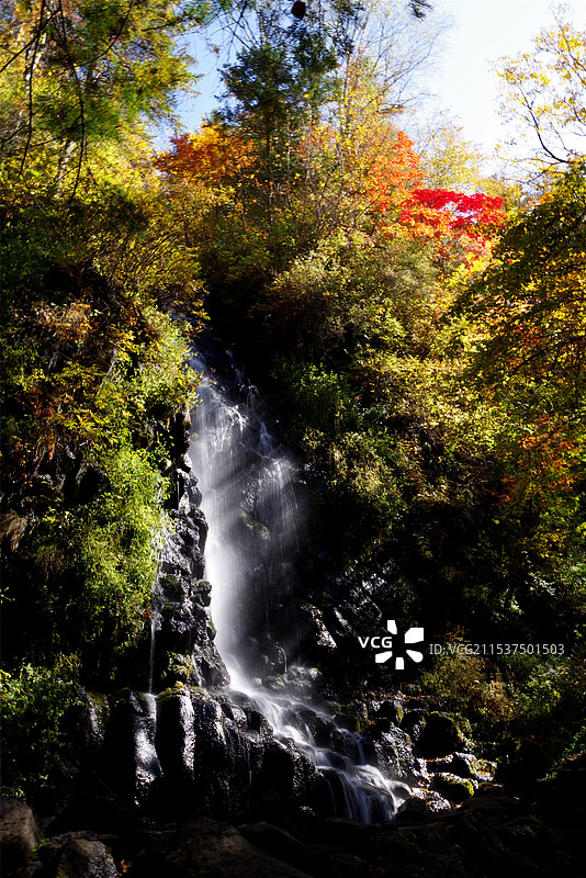 望天鹅飞瀑图片素材