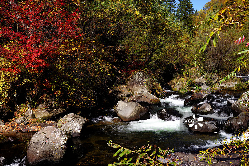 吉林望天鹅风景区红叶谷图片素材