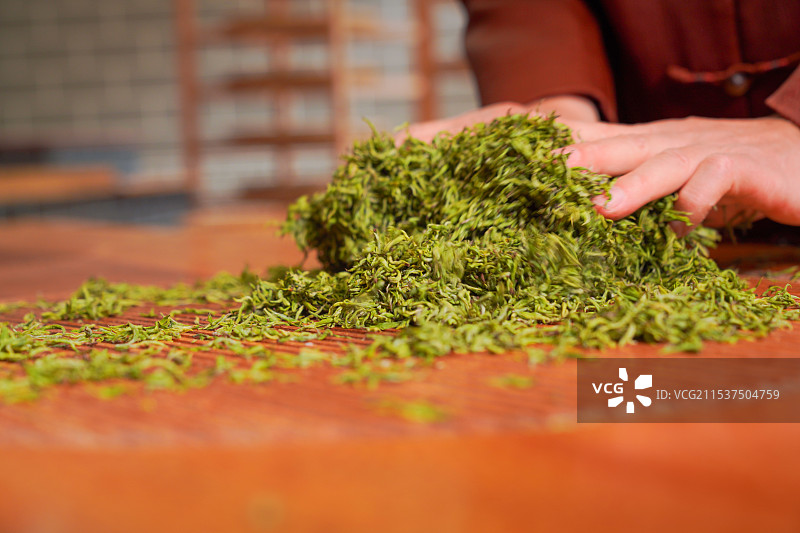 利川红制作工艺茶叶的手工揉捻图片素材