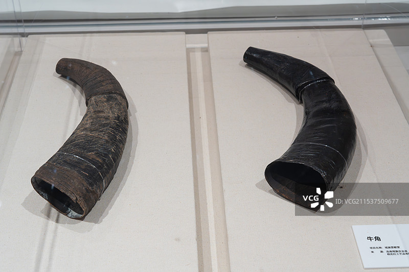 传统各类中草药食材图片素材