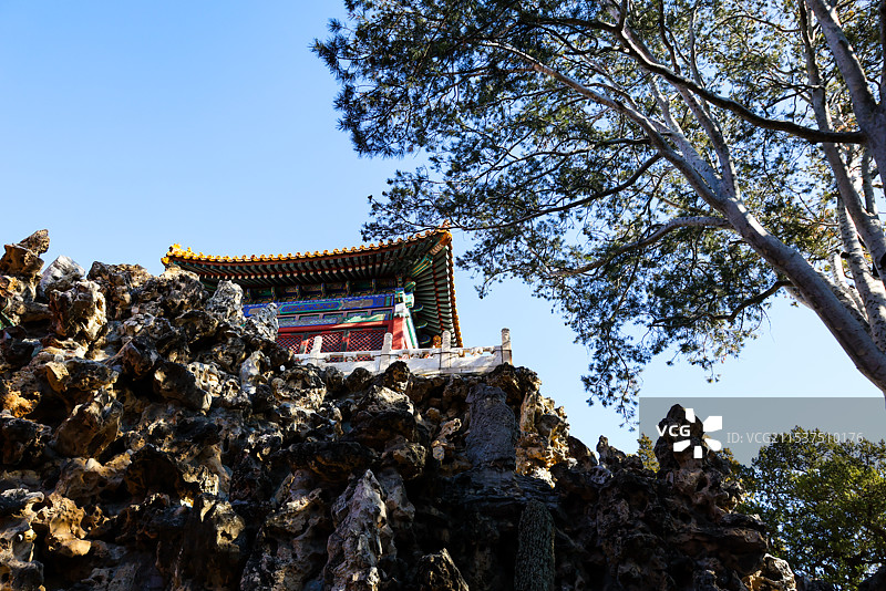 北京故宫御花园堆秀山上的白皮松冬天风光图片素材