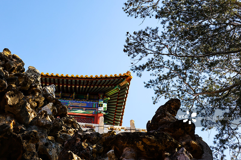北京故宫御花园堆秀山上的白皮松冬天风光图片素材