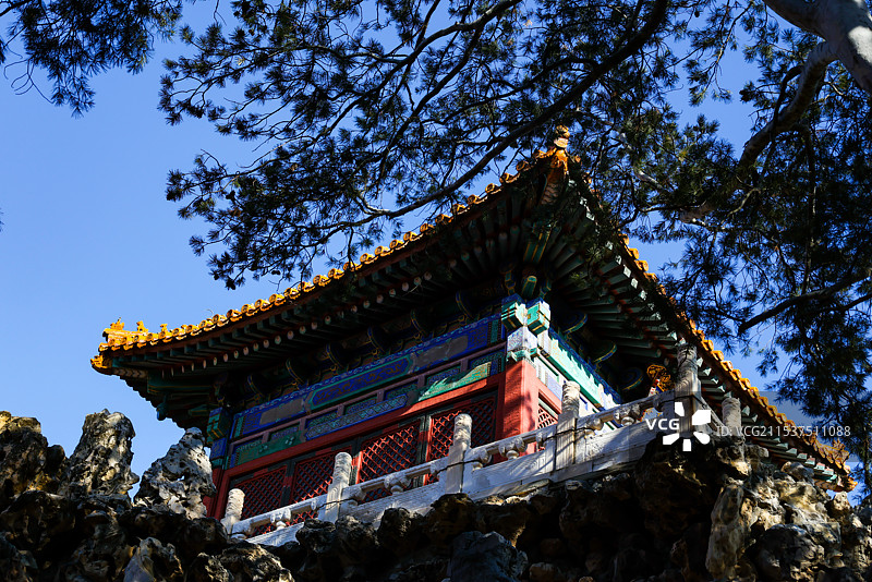 北京故宫御花园堆秀山上的白皮松冬天风光图片素材