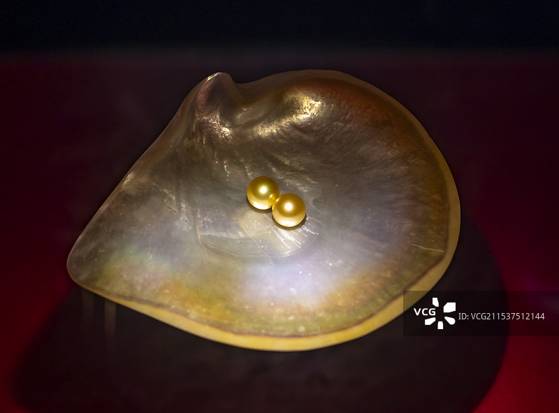 金珍珠 广东省博物馆图片素材