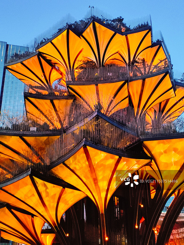 生命之树特写2图片素材