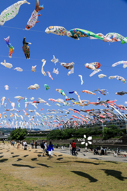 日本儿童节鲤鱼旗图片素材