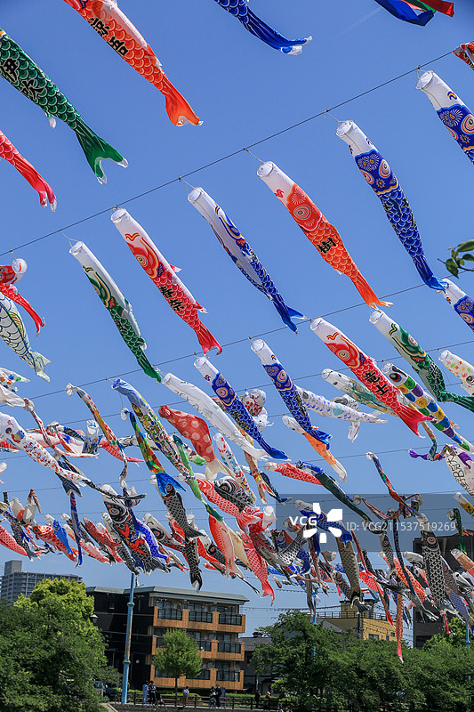 日本儿童节鲤鱼旗图片素材