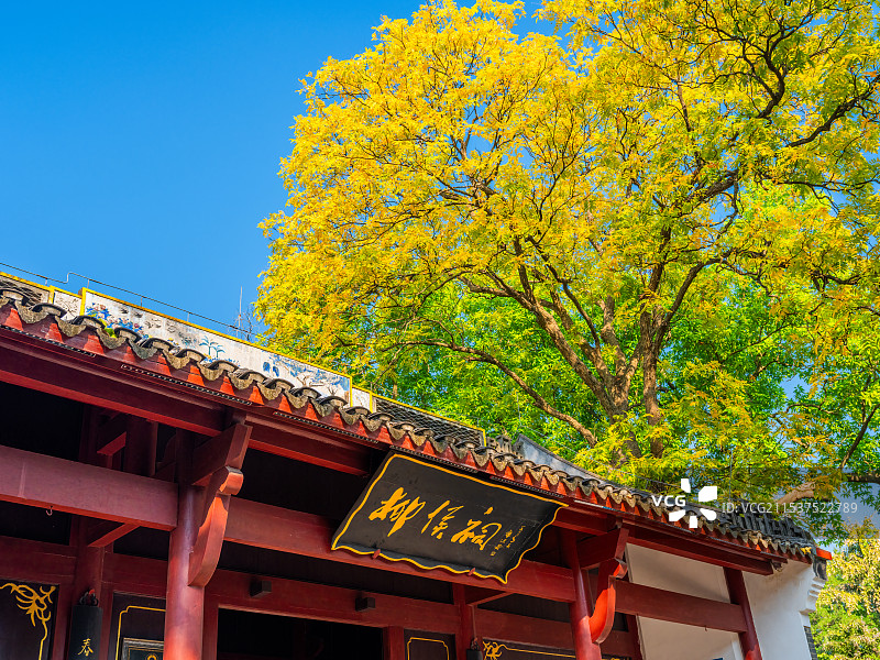 广西柳州柳侯公园柳侯祠风光图片素材