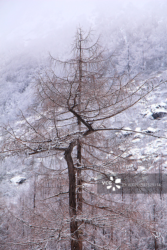 毕棚沟风景照图片素材