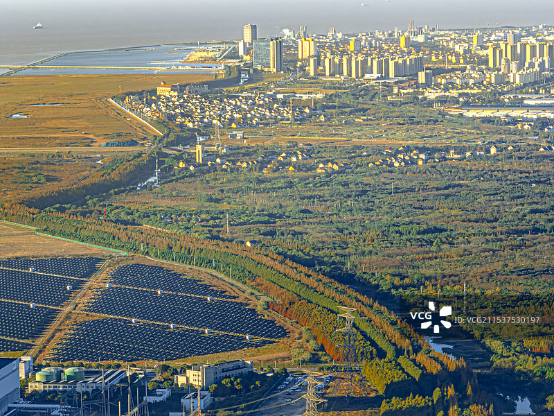 老沪杭公路 金山嘴渔村 漕泾滨海生态廊道 上海市金山区最美环海公路 金色水杉树林 杭州湾北岸 运石河图片素材