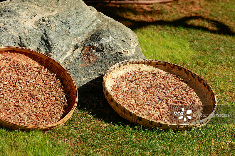 农户在阳光下晒的小虾米图片素材