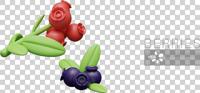 3D越橘和蓝莓野生森林图片素材