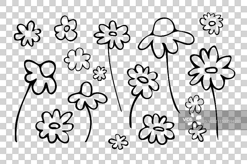 一组手绘轮廓花卉黑色植物图案图片素材