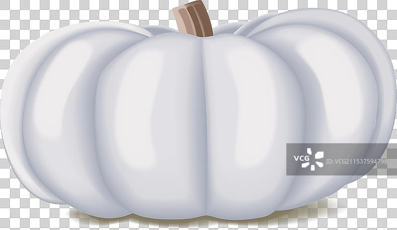 白色瓦伦西亚南瓜冬季南瓜图片素材