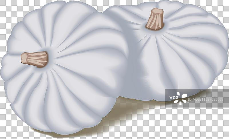 一组白色瓦伦西亚南瓜图片素材