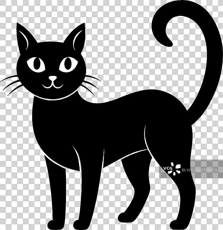 一只猫图片素材