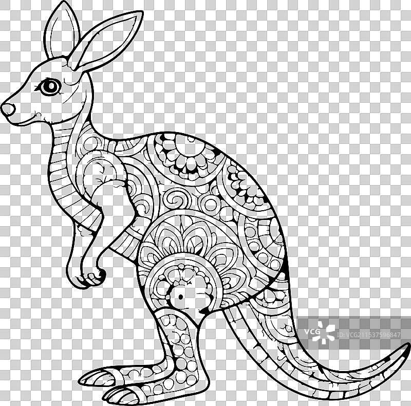 袋鼠涂色页设计图片素材