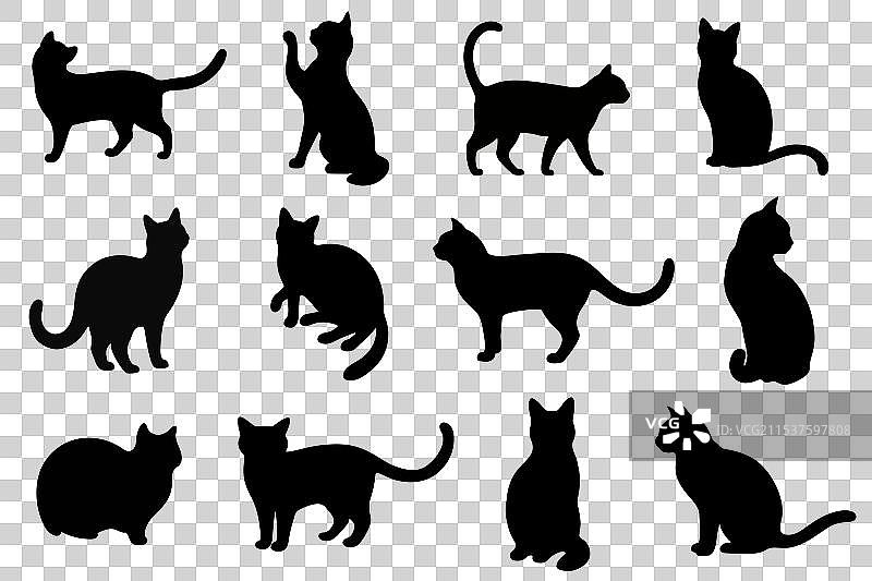 一组猫的剪影图片素材